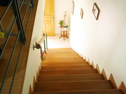 Sembawang Springs Estate (D27), Terrace #173135312
